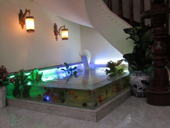 Với màu sắc của ánh sáng điện cùng bể cá cảnh ở gầm cầu thang sẽ làm cho không gian nhà bạn trở nên lung linh hơn